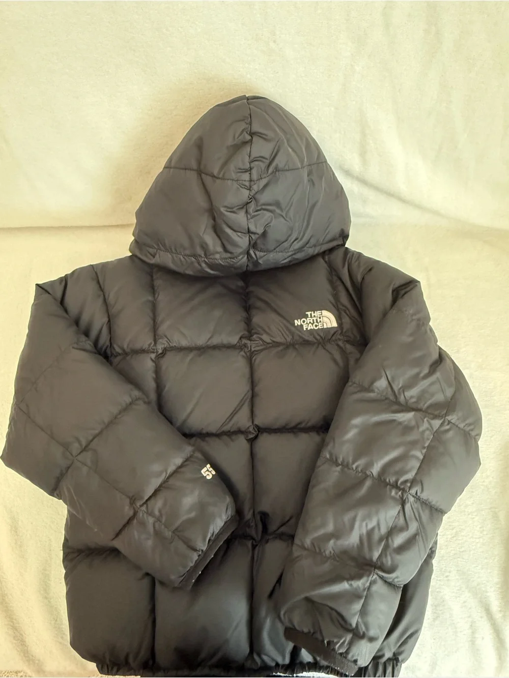 The North Face north face